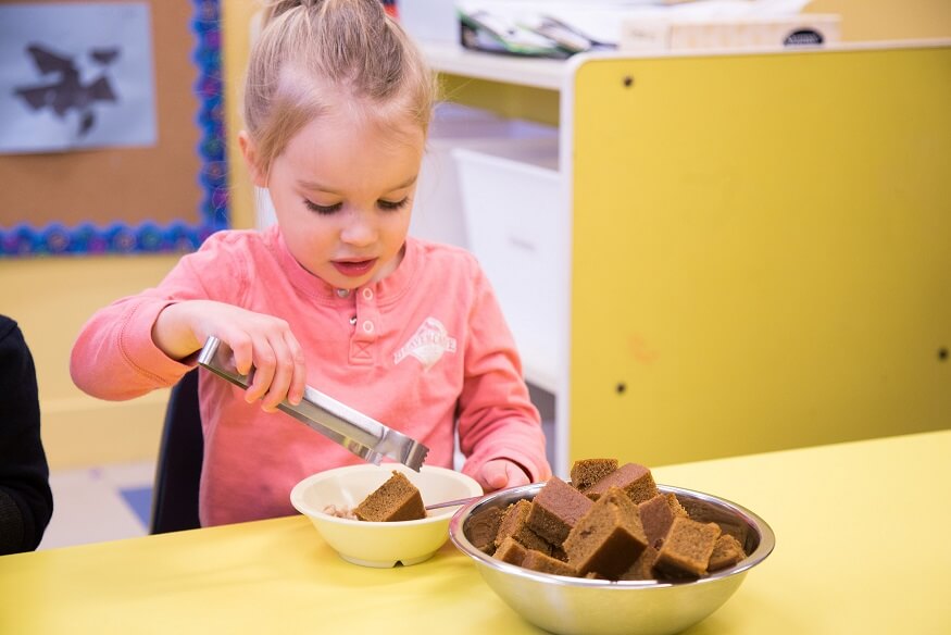 Lunch time at daycare: healthy nutritious lunch for kids